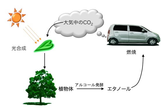 地球温暖化とバイオエタノール