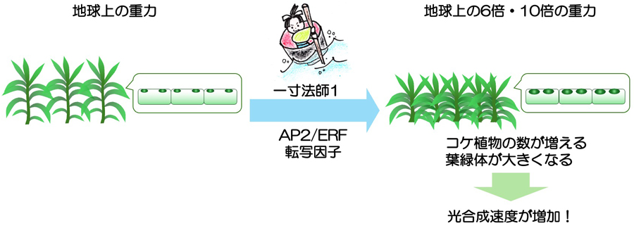 プレスリリース1：画像