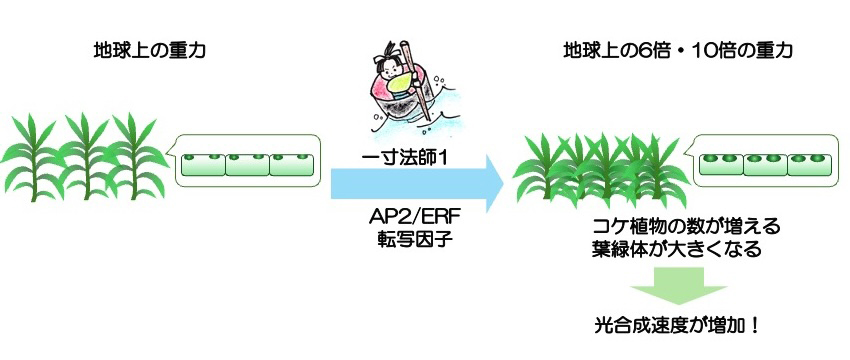 研究1:画像1