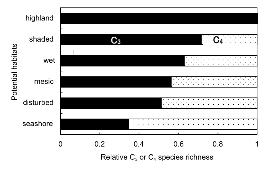 poaceae_fig2.jpg