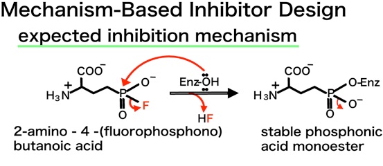 Mechanism-based inhibitor design