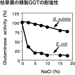 枯草菌の精製GGTの耐塩性