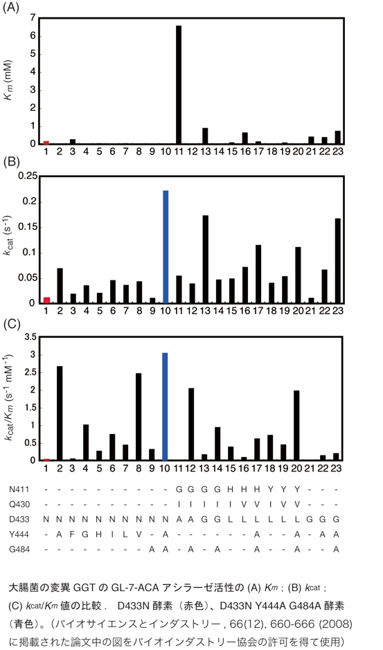 変異GGTの活性比較