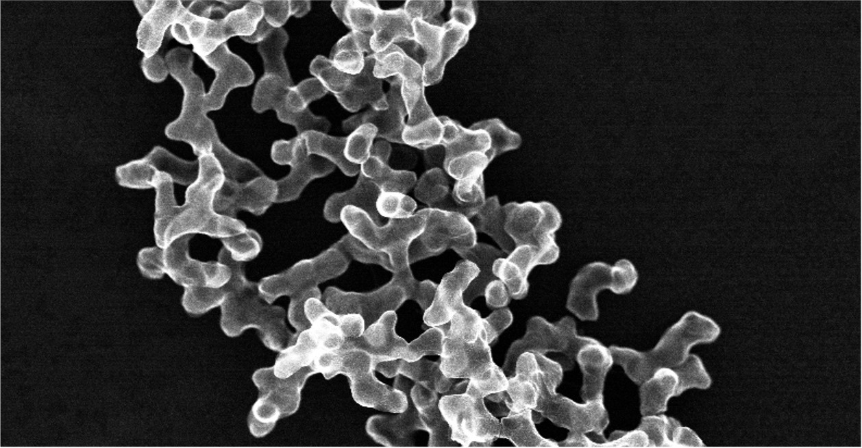 ナノポーラス金属のSEM像