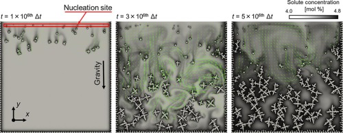 polycrystalline equiaxed solidification with solid motion