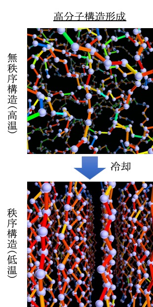 高分子構造形成