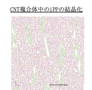 CNT複合体中のiPPの結晶化