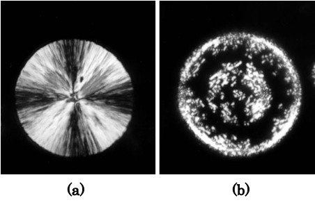 高分子の結晶成長においての融解記憶