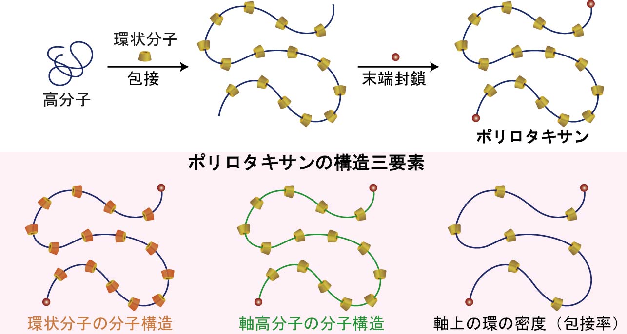 インターロック超分子の合成基盤の研究イメージ