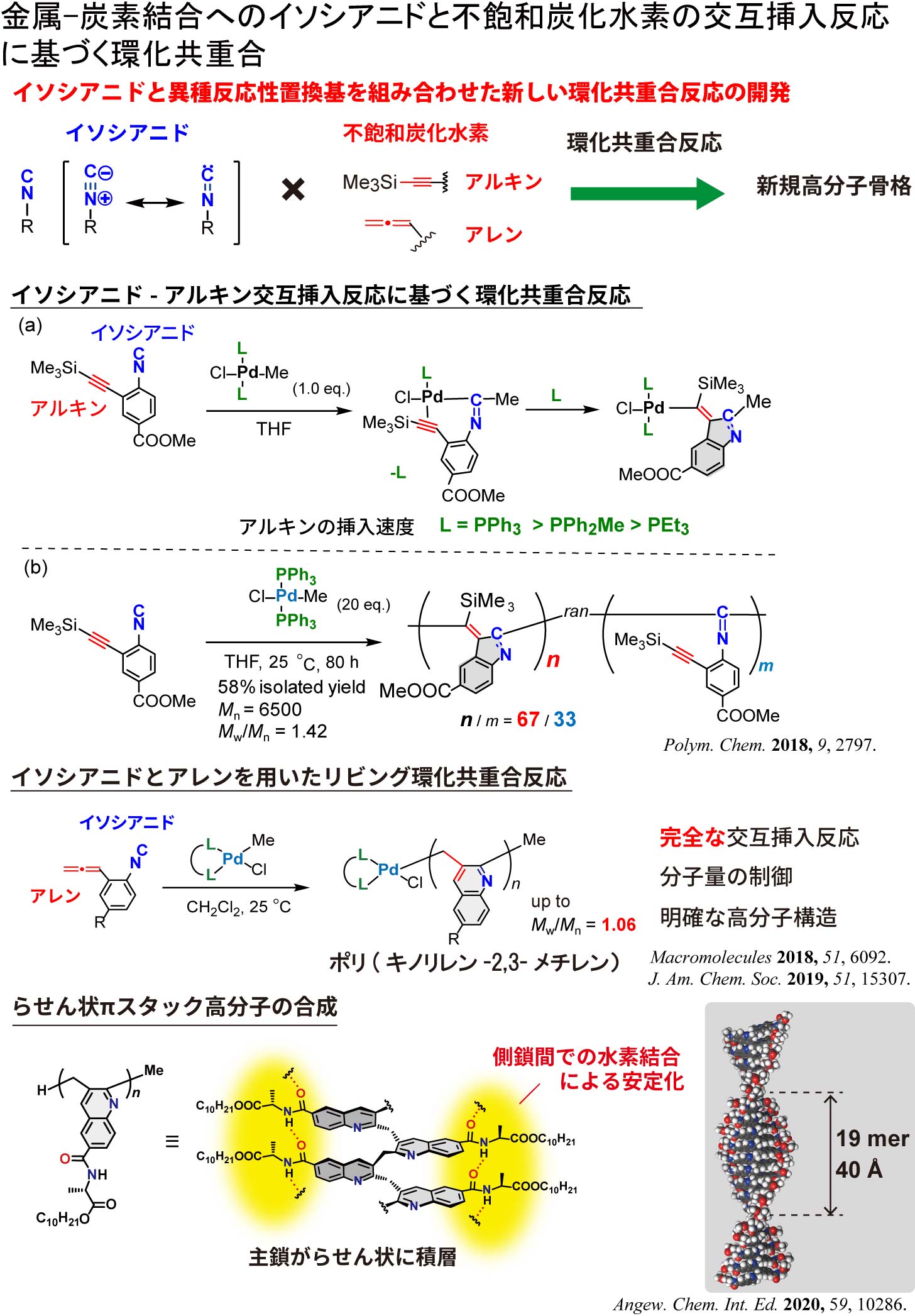 金属-炭素結合へのイソシアニドと不飽和炭化水素の交互挿入反応に基づく環化共重合