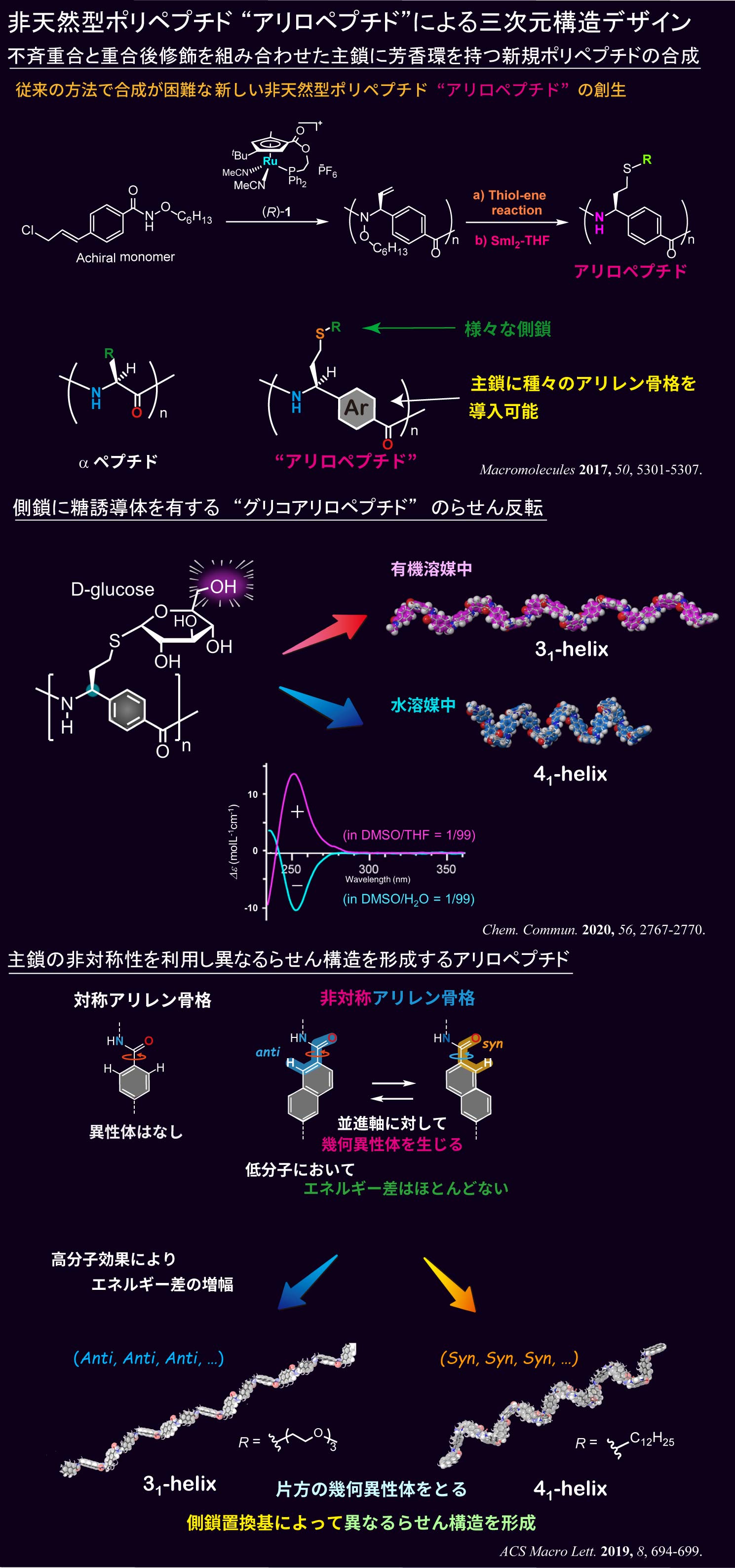 非天然型ポリペプチド “アリロペプチド”による三次元構造デザイン