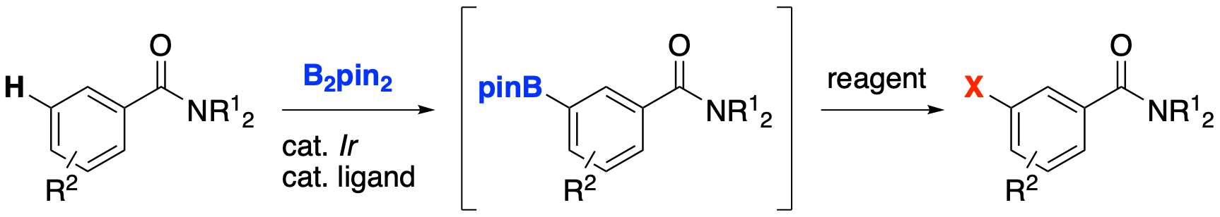2019_t1