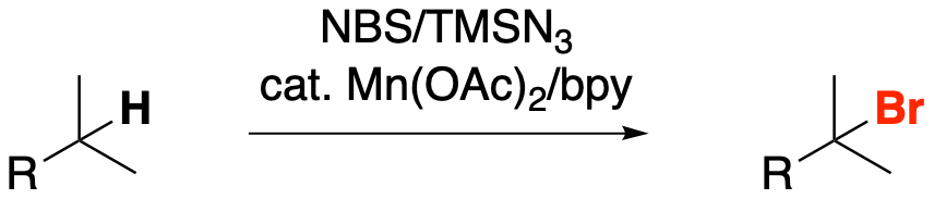 2021_t4